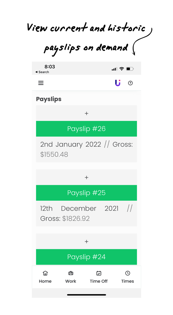 how-to-access-payslips